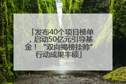 发布40个项目榜单，启动50亿元引导基金！“双向揭榜挂帅”行动成果丰硕