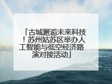 古城邂逅未来科技！苏州姑苏区举办人工智能与低空经济路演对接活动