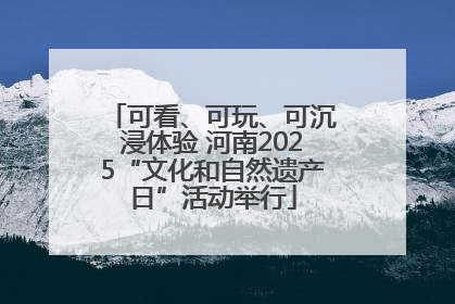 可看、可玩、可沉浸体验 河南2025“文化和自然遗产日”活动举行