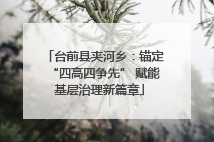 台前县夹河乡：锚定“四高四争先” 赋能基层治理新篇章