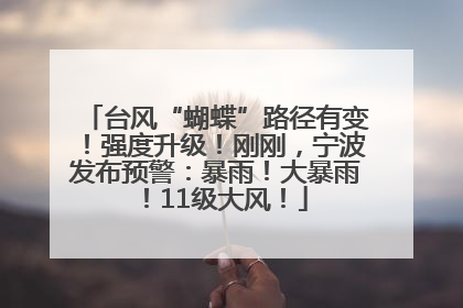 台风“蝴蝶”路径有变！强度升级！刚刚，宁波发布预警：暴雨！大暴雨！11级大风！