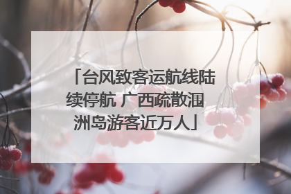 台风致客运航线陆续停航 广西疏散涠洲岛游客近万人
