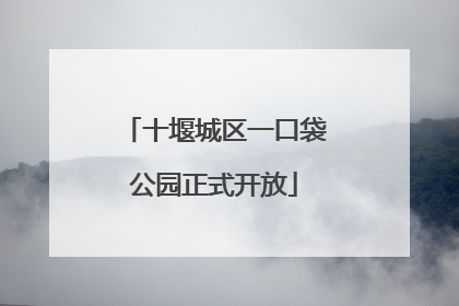 十堰城区一口袋公园正式开放