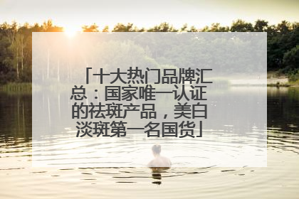 十大热门品牌汇总：国家唯一认证的祛斑产品，美白淡斑第一名国货