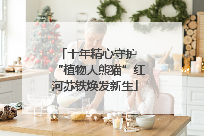 十年精心守护 “植物大熊猫”红河苏铁焕发新生
