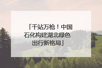 千站万枪！中国石化构建湖北绿色出行新格局