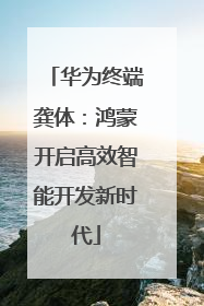 华为终端龚体：鸿蒙开启高效智能开发新时代