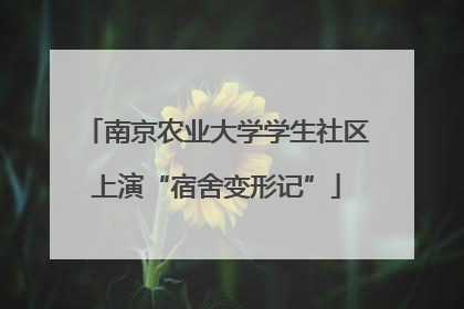 南京农业大学学生社区上演“宿舍变形记”