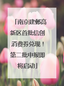 南京建邺高新区首批信创消费券兑现！第二批申报即将启动
