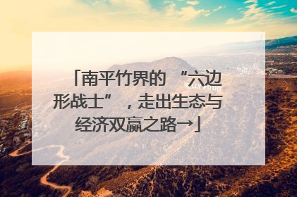 南平竹界的 “六边形战士”，走出生态与经济双赢之路→