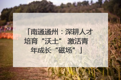 南通通州：深耕人才培育“沃土” 激活青年成长“磁场”