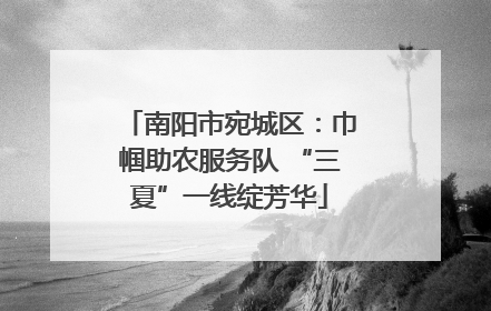南阳市宛城区：巾帼助农服务队 “三夏”一线绽芳华