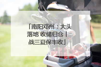 南阳邓州：大头落地 收储归仓丨战三夏保丰收