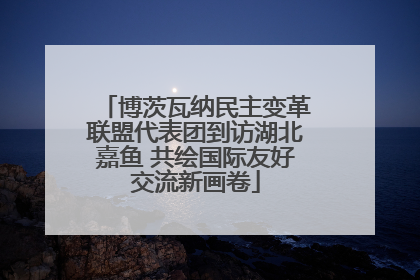 博茨瓦纳民主变革联盟代表团到访湖北嘉鱼 共绘国际友好交流新画卷