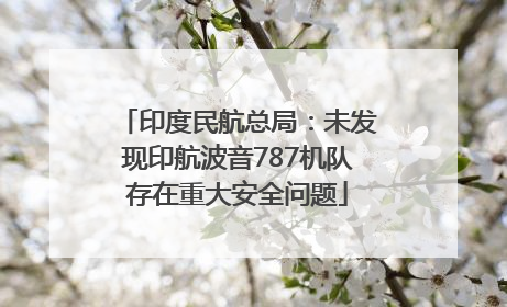 印度民航总局：未发现印航波音787机队存在重大安全问题