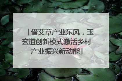 借艾草产业东风，玉玄道创新模式激活乡村产业振兴新动能
