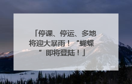 停课、停运、多地将迎大暴雨！“蝴蝶”即将登陆！