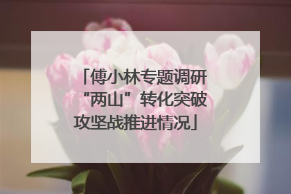 傅小林专题调研“两山”转化突破攻坚战推进情况
