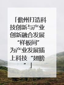 儋州打造科技创新与产业创新融合发展“样板间” 为产业发展插上科技“翅膀”
