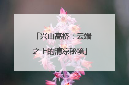 兴山高桥：云端之上的清凉秘境