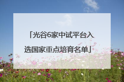 光谷6家中试平台入选国家重点培育名单