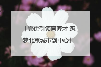 党建引领育匠才 筑梦北京城市副中心