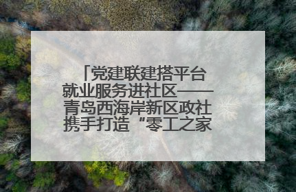 党建联建搭平台 就业服务进社区——青岛西海岸新区政社携手打造“零工之家”就业服务新阵地