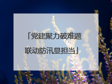 党建聚力破难题 联动防汛显担当