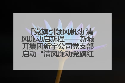 党旗引领风帆劲 清风廉动启新程——新城开集团新宇公司党支部启动“清风廉动党旗红”系列活动