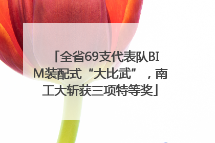 全省69支代表队BIM装配式“大比武”，南工大斩获三项特等奖