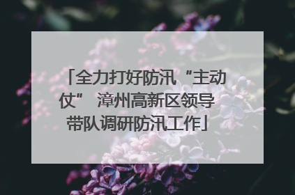 全力打好防汛“主动仗” 漳州高新区领导带队调研防汛工作