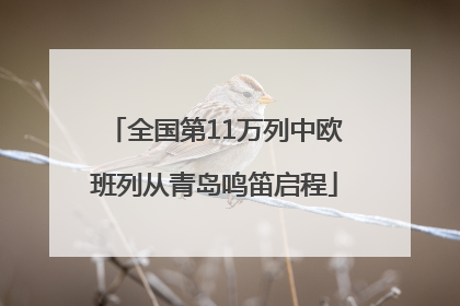 全国第11万列中欧班列从青岛鸣笛启程