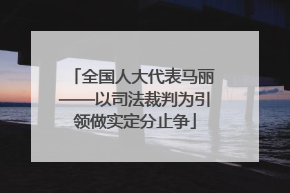 全国人大代表马丽——以司法裁判为引领做实定分止争