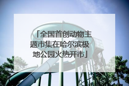 全国首创动物主题市集在哈尔滨极地公园火热开市