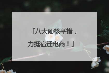 八大硬核举措，力挺宿迁电商！
