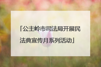 公主岭市司法局开展民法典宣传月系列活动