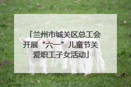 兰州市城关区总工会开展“六一”儿童节关爱职工子女活动