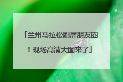 兰州马拉松刷屏朋友圈！现场高清大图来了