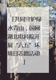 共同守护绿水青山，国网湖北电科院开展“六五”环境日志愿活动