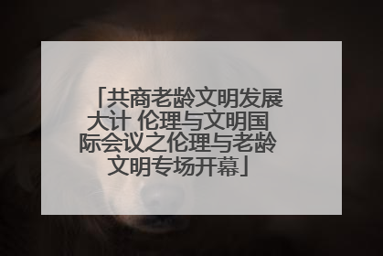 共商老龄文明发展大计 伦理与文明国际会议之伦理与老龄文明专场开幕