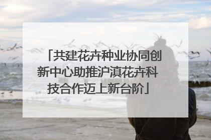 共建花卉种业协同创新中心助推沪滇花卉科技合作迈上新台阶