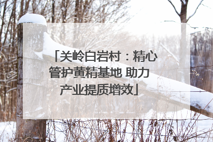 关岭白岩村：精心管护黄精基地 助力产业提质增效