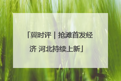 冀时评｜抢滩首发经济 河北持续上新