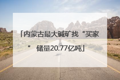 内蒙古最大碱矿找“买家” 储量20.77亿吨