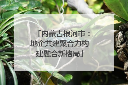 内蒙古根河市：地企共建聚合力构建融合新格局