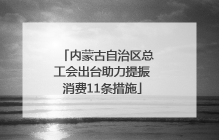 内蒙古自治区总工会出台助力提振消费11条措施