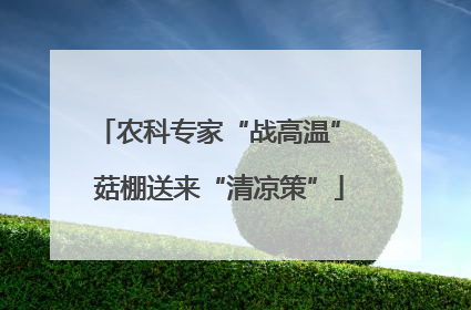 农科专家“战高温” 菇棚送来“清凉策”