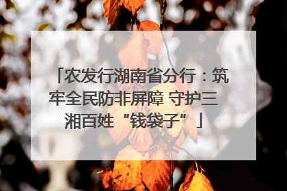 农发行湖南省分行：筑牢全民防非屏障 守护三湘百姓“钱袋子”