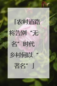 农村道路将告别“无名”时代 乡村何以“著名”