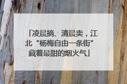 凌晨摘、清晨卖，江北“杨梅自由一条街”藏着最甜的烟火气